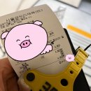 [왕초보의 수영일기] 27. 번외 - 원정수영 후기 : 일요일도 운영하는 서울곰두리체육센터