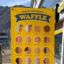 와플대학양산