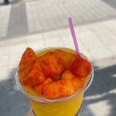고망고광장
