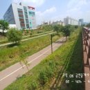 OK롯데캐슬공인중개사사무소 이미지