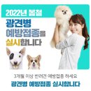 광명시티동물병원