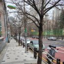 광덕산로 이미지