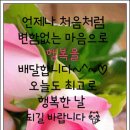 남자들의 정력이 떨어질때 먹는 정력제 (오자의 효능) 이미지