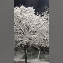 산넘어 그곳 이미지