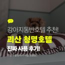 힐링독 반려견센터 | 강아지동반호텔 추천, 11년차 훈련사가 직접 경험한 청명호텔 진짜 후기