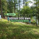김천 유아숲체험원 이미지