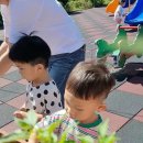 정토원광어린이집 이미지