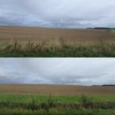 호텔스완(Hotel Swan) 이미지