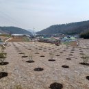 장동마을회관 이미지