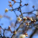 충무공파출소 이미지