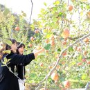 홍구농장 이미지