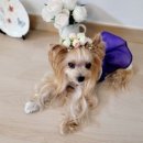 손바느질 생활한복 이미지