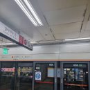 달빛도깨비
