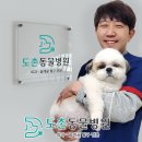 도촌동물병원 이미지