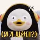 짱실내바다낚시터 이미지