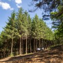 숲뒤농장 이미지