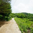 산내면 상황마을 이미지