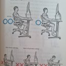 적천 | 정선근 교수의 『백년허리』 1권과 2권을 읽다.