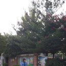 태암초등학교 이미지