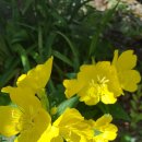 까치부동산중개사무소 이미지