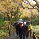 가을여행 이미지