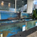 동해바다회 이미지