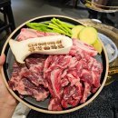 수아리아리애견 이미지