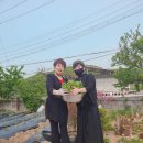 윤자푸드 네이버블로그