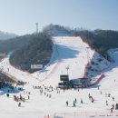 엘리시안 강촌 스키장 이미지