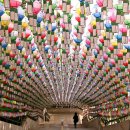 안국선원 이미지