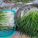 문도경로당 이미지