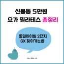 (하반기) 다이어트 댄스&체조 | 용인 수지 신봉동 5만원 요가 필라테스 총정리