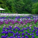 꽃밭에서 이미지