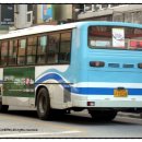 이백면 양강마을 이미지