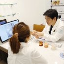 서울하이치과의원 이미지