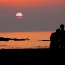 행복한 동행 이미지