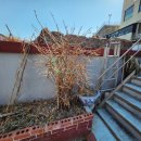 중성동111 이미지