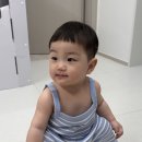 코코하니 이미지