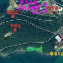 지도 왕벚나무길 이미지