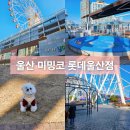 카페미밍코 | 울산 롯데백화점 영플라자 미밍코 쇼핑과 펫카페를 동시에