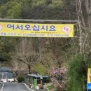 경산모골캠핑장