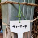 향누리 네이버블로그