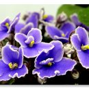 언덕위에하얀집 이미지