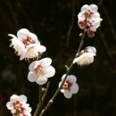 강변길따라 이미지