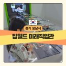 대상초등학교 | 한국잡월드 미래직업관 오픈! 방탈출하고 VR체험까지? 초등 고학년 체험 예약 꿀팁