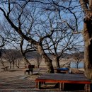 양화초등학교 이미지