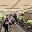 복흥동산초등학교 이미지