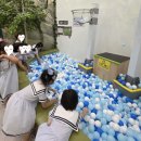 파인슐레 국제 어학원 이미지