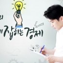 타트컬렉션 이미지