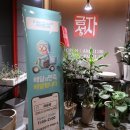 일품자금성 | 전주중식맛집 자금성 방문기(가격, 맛, 분위기)